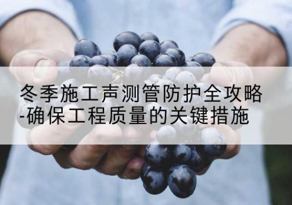 大悟冬季施工声测管有哪些防护要点？-冬季施工声测管防护全攻略-确保工程质量的关键措施